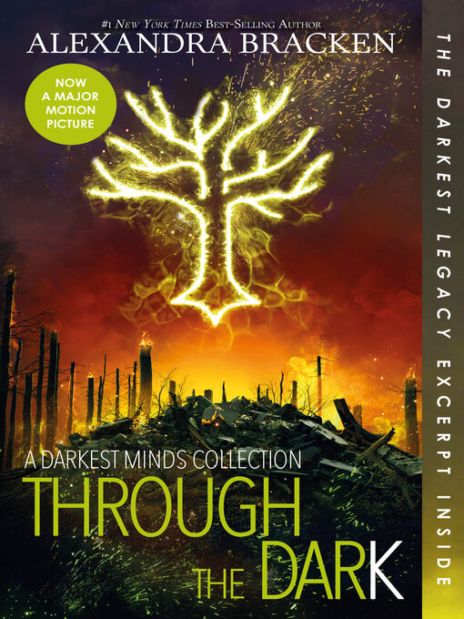 Cover image for Through the Dark
